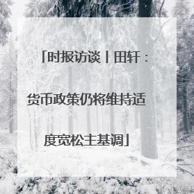 时报访谈丨田轩：货币政策仍将维持适度宽松主基调