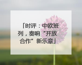 时评：中欧班列，奏响“开放合作”新乐章
