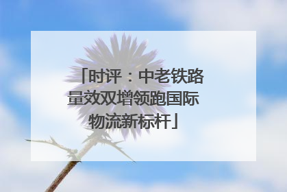 时评：中老铁路量效双增领跑国际物流新标杆