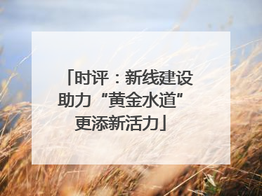 时评：新线建设助力“黄金水道”更添新活力