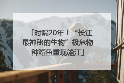 时隔20年！“长江最神秘的生物”极危物种鳤鱼重现赣江
