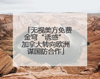 无视美方免费金穹“诱惑” 加拿大转向欧洲谋国防合作