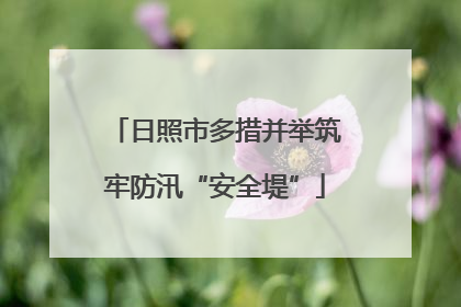 日照市多措并举筑牢防汛“安全堤”