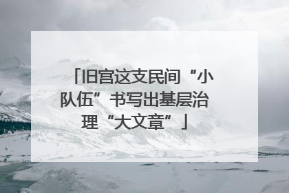 旧宫这支民间“小队伍”书写出基层治理“大文章”