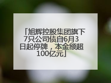 旭辉控股集团旗下7只公司债自6月3日起停牌，本金额超100亿元