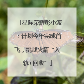 星际荣耀彭小波：计划今年完成首飞，挑战火箭“入轨+回收”