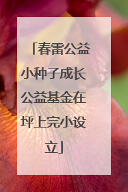 春雷公益小种子成长公益基金在坪上完小设立