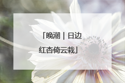 晚潮｜日边红杏倚云栽
