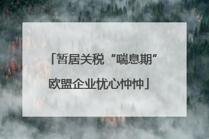 暂居关税“喘息期” 欧盟企业忧心忡忡