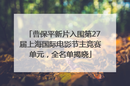 曹保平新片入围第27届上海国际电影节主竞赛单元，全名单揭晓