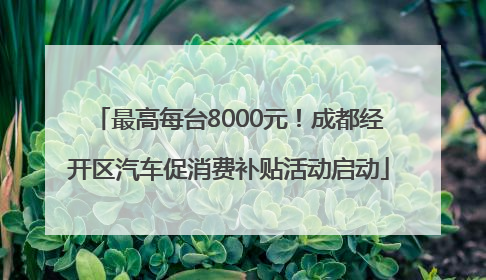 最高每台8000元！成都经开区汽车促消费补贴活动启动