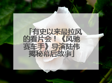 有史以来最拉风的看片会！《风驰赛车手》导演陆伟揭秘幕后故事