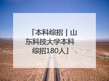 本科综招｜山东科技大学本科综招180人