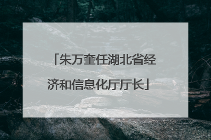 朱万奎任湖北省经济和信息化厅厅长