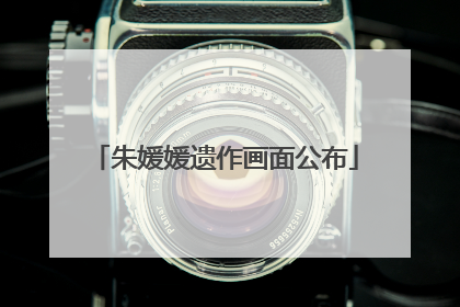 朱媛媛遗作画面公布