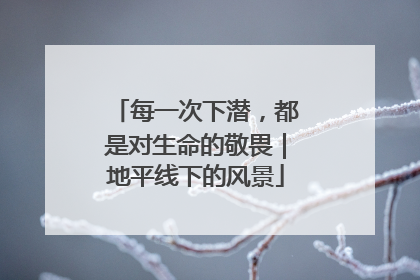 每一次下潜，都是对生命的敬畏｜地平线下的风景
