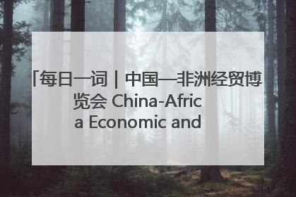 每日一词｜中国—非洲经贸博览会 China-Africa Economic and Trade Expo