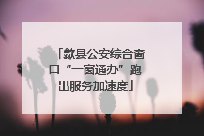 歙县公安综合窗口“一窗通办”跑出服务加速度