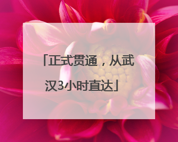 正式贯通，从武汉3小时直达