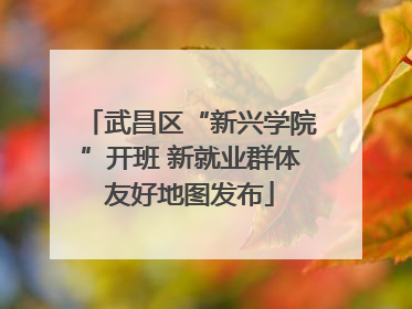 武昌区“新兴学院”开班 新就业群体友好地图发布