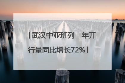 武汉中亚班列一年开行量同比增长72%