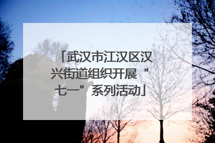 武汉市江汉区汉兴街道组织开展“七一”系列活动