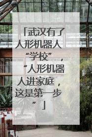 武汉有了人形机器人“学校”，“人形机器人进家庭，这是第一步”