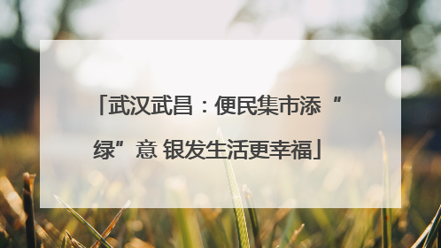 武汉武昌：便民集市添“绿”意 银发生活更幸福