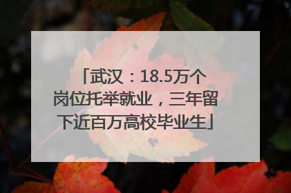 武汉：18.5万个岗位托举就业，三年留下近百万高校毕业生