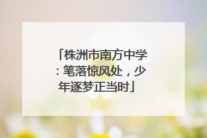 株洲市南方中学：笔落惊风处，少年逐梦正当时