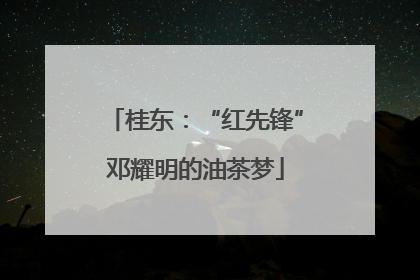 桂东：“红先锋”邓耀明的油茶梦