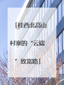 桂西北高山村寨的“云端”致富路