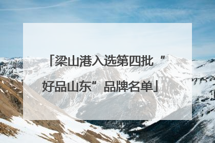 梁山港入选第四批“好品山东”品牌名单