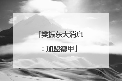 樊振东大消息：加盟德甲
