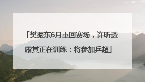 樊振东6月重回赛场，许昕透露其正在训练：将参加乒超