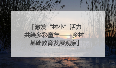 激发“村小”活力 共绘多彩童年——乡村基础教育发展观察