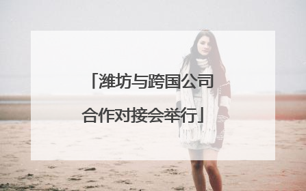 潍坊与跨国公司合作对接会举行