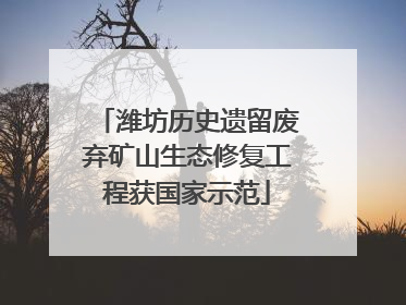 潍坊历史遗留废弃矿山生态修复工程获国家示范