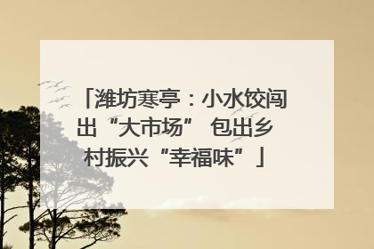 潍坊寒亭：小水饺闯出“大市场” 包出乡村振兴“幸福味”