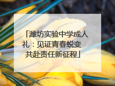 潍坊实验中学成人礼:见证青春蜕变 共赴责任新征程