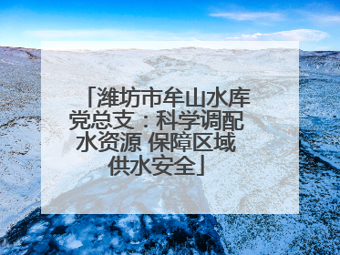 潍坊市牟山水库党总支：科学调配水资源 保障区域供水安全