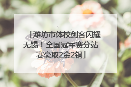 潍坊市体校剑客闪耀无锡！全国冠军赛分站赛豪取2金2铜