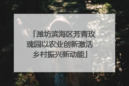 潍坊滨海区芳青玫瑰园以农业创新激活乡村振兴新动能