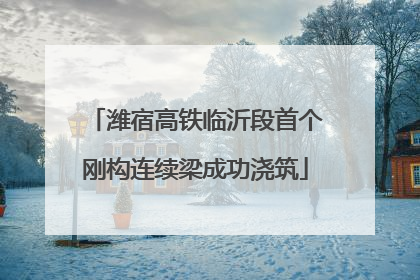 潍宿高铁临沂段首个刚构连续梁成功浇筑