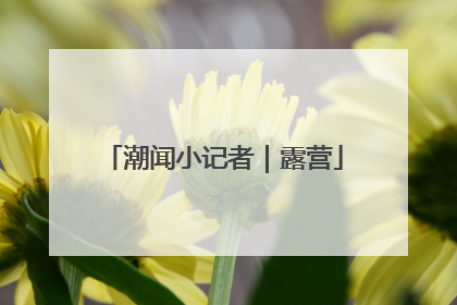 潮闻小记者｜露营