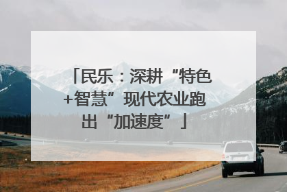 民乐：深耕“特色+智慧”现代农业跑出“加速度”