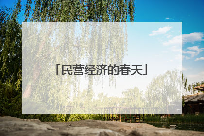 民营经济的春天