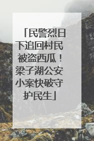 民警烈日下追回村民被盗西瓜！梁子湖公安小案快破守护民生