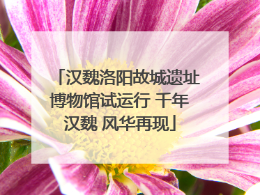 汉魏洛阳故城遗址博物馆试运行 千年汉魏 风华再现