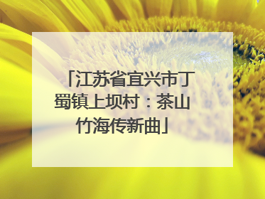 江苏省宜兴市丁蜀镇上坝村：茶山竹海传新曲